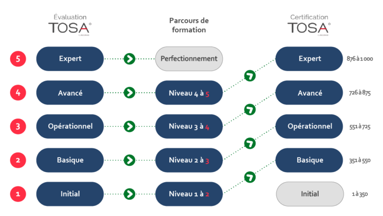 Niveaux des certifications TOSA